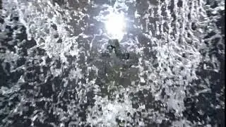 ID 207