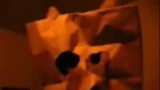 ytwatchdog