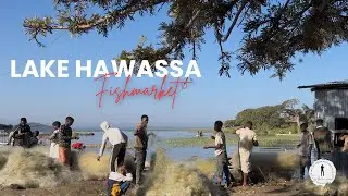 Lake Hawassa fishmarket #africanvillage #hawasa #ethiopia #fishmarket #wildlife