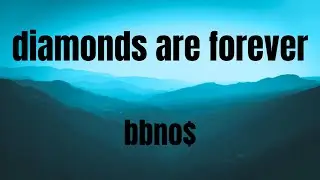 diamonds are forever || bbno$ || karaoke