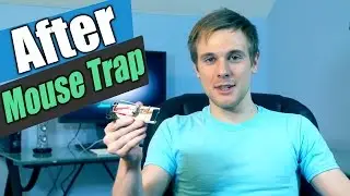 MouseTraps & Belts- The After Prank