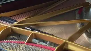 J.S.Bach    French Suite No.5 G-dur  BWV816   -Allemande