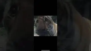 la soledad aburre pero no traiciona - beny jr speed up