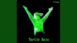 Turtle Rain