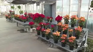 Cal Poly's annual plant, gift sale extended through Saturday