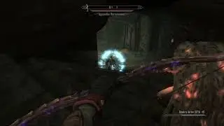 Skyrim: AE - Wood Elf - Typical Bethesda Game 😅 - LankyAssassin24