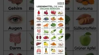 LEBENSMITTEL, DIE IHRE ORGANE NAT&Uuml;RLICH REINIGEN 🥦🍋
