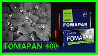 FOMAPAN 400- najlepszy negatyw na początek ?