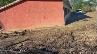 UN ANTES Y UN DESPU&Eacute;S EN LA ESCUELA ISABEL DE TORRES, MONTECRISTI LUEGO DEL TRABAJO DE ASOCAMTPI .