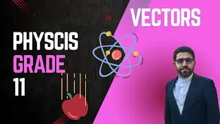 Physics 11 &ndash; Displacement and Direction Explained (with Easy&nbsp;Examples)&rdquo;