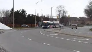 Brampton Transit #1217 & Toronto Transit Commission #8512 on Humber College Blvd