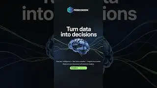 Turn Data into Decisions with Friscodom