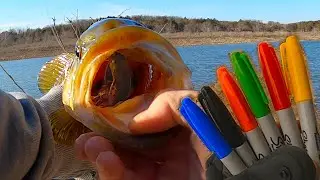 This Pro Fishing Tip Will Help You Catch More Bass - EASY