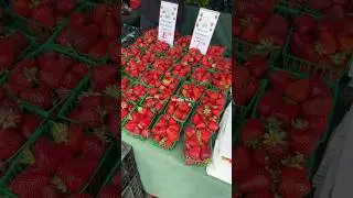 Let&rsquo;s check out the best farmers market in Los Angeles #localfarms #shoplocal