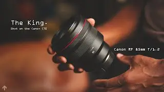 КОРОЛЬ КРАСНОГО КОЛЬЦА?..? | Canon RF 85mm f/1.2 | Снято на Canon C70