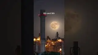The Sturgeon Moon: A Preparation Guide
