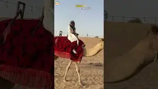 ✈️ Desert Safari Vibes 🦅 Epic Sunset 🐪 #dubai #vasuvlogs #desertsafari #trending #minivlog #travel