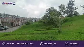 LOTE EN VENTA EN LA DANIELA/MANIZALES COD 279066655