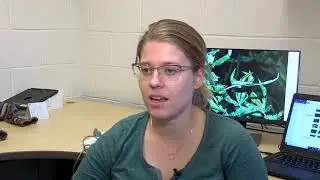 Purdue receives first USDA research grant for organic hemp production