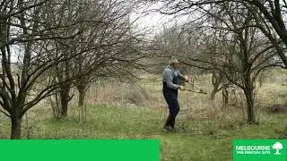 Tree Pruning Services Melbourne