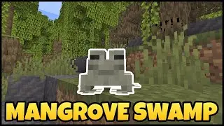 Where To Find MANGROVE SWAMP In MINECRAFT