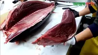 বিশ্বের দ্রুত সব মাছ কাটার দৃশ্য | Fast Workers Fish Cutting আজব দর্শন