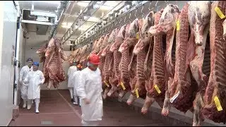 Ireland to Expand Beef Exports to China through Import Expo