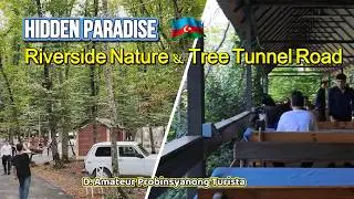 Hidden Green Paradise in Shah Quba, Azerbaijan 🇦🇿 | Riverside Nature Restaurant & Tree Tunnel Road