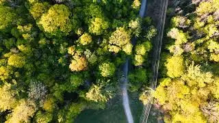Sunday Morning with the DJI Mavic Air 2