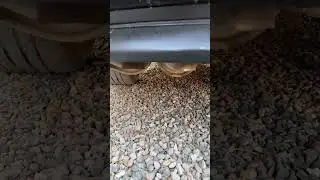 cold engine sound #bmw #7series #mpower #m7 #automobile #cars #shortsviral