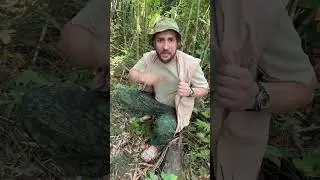 Непосредственно Каха ориентирование в лесу