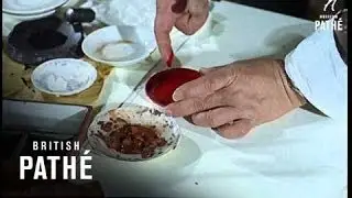 Finger Painting Beware - Other Colour Pics Share This Title (1965)
