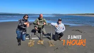 Razor Clamming in Astoria: Race to a Limit!