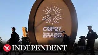 Cop27: Climate summit enters fourth day as science and youth feature on main stage