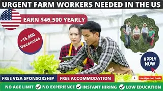 НОВИНКА! 15 000 сельскохозяйственных рабочих срочно требуются в США | Низкий уровень образования ...