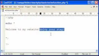 PHP Basics: Echo Function