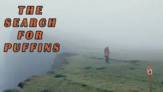 Sailing Scotland: Skye to Oban | Canna Puffin Search & Dolphin Sunset