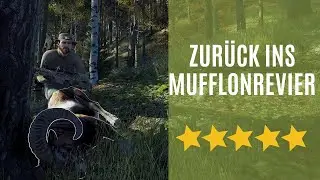 Steyr SSG M1 Muffel Tier Management Way of the Hunter 5 Sterne Serie #28   deutsch