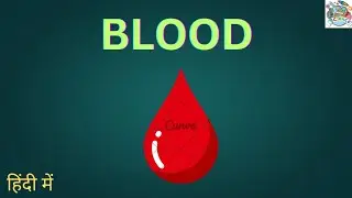 Life processes | Blood | &mdash; In Hindi (हिंदी में) #Tannu techscience#biology