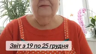 Звіт з 19 по 25 грудня.