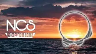 Disfigure - Blank [No Copyright Songs]
