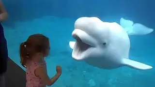 Funniest Baby at the Zoo 👶 Funny Animals Reaction &brvbar; Try Not To Laugh &brvbar; Kids at the zoo