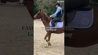 Fashion Designer les outfit du poney #horse #concours #cheval #cso #equestrian #poney