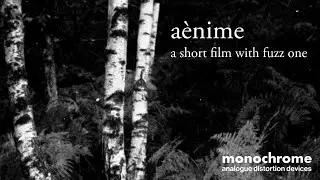 a&egrave;nime | a short film about feedback and organic matter with fuzz one by monochrome pedals