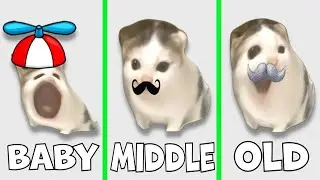 German Cat Everytime with more age