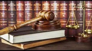 Difference between article and section