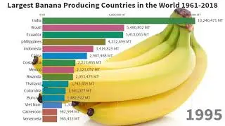 Largest Banana Producing Countries in the World 1961 2018