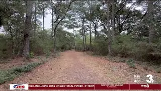 Outer Banks volunteers join effort in searching for missing man, dog in Buxton
