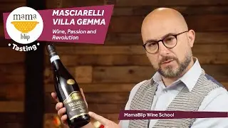 Masciarelli Villa Gemma: Wine, Passion and Revolution