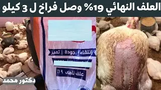 العلف الناهي 19% هو الي هيرفع وزن الفراخ الي 4 كيلو مع الدكتور